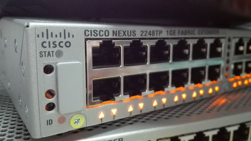 网络工程毕业生的职业图鉴 他们在哪里，后悔了吗？